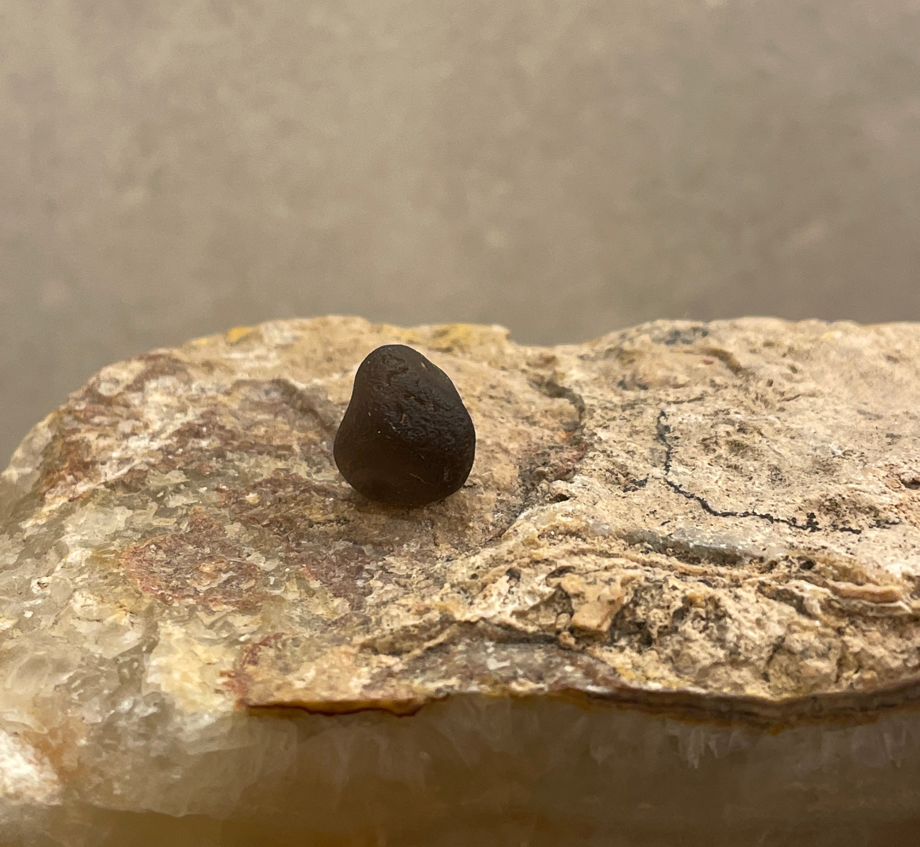 ARIZONA州産 チンターマニストーン サフォーダイト原石 – Coco crystal